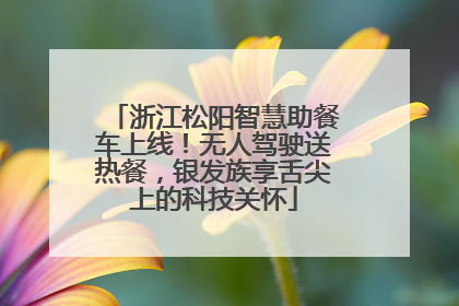 浙江松阳智慧助餐车上线！无人驾驶送热餐，银发族享舌尖上的科技关怀